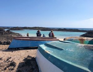 Explore Lobos Island