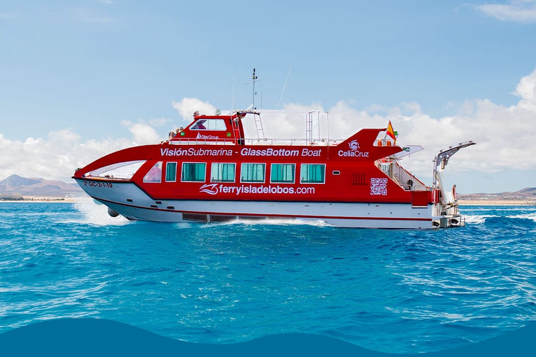 Mini Cruise and Snorkel at Lobos