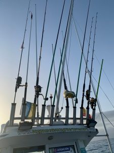 Sport Fishing Fuerteventura